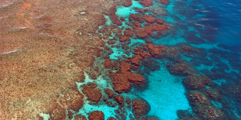 circuit Australie 3 semaines Grande Barrière de corail mer