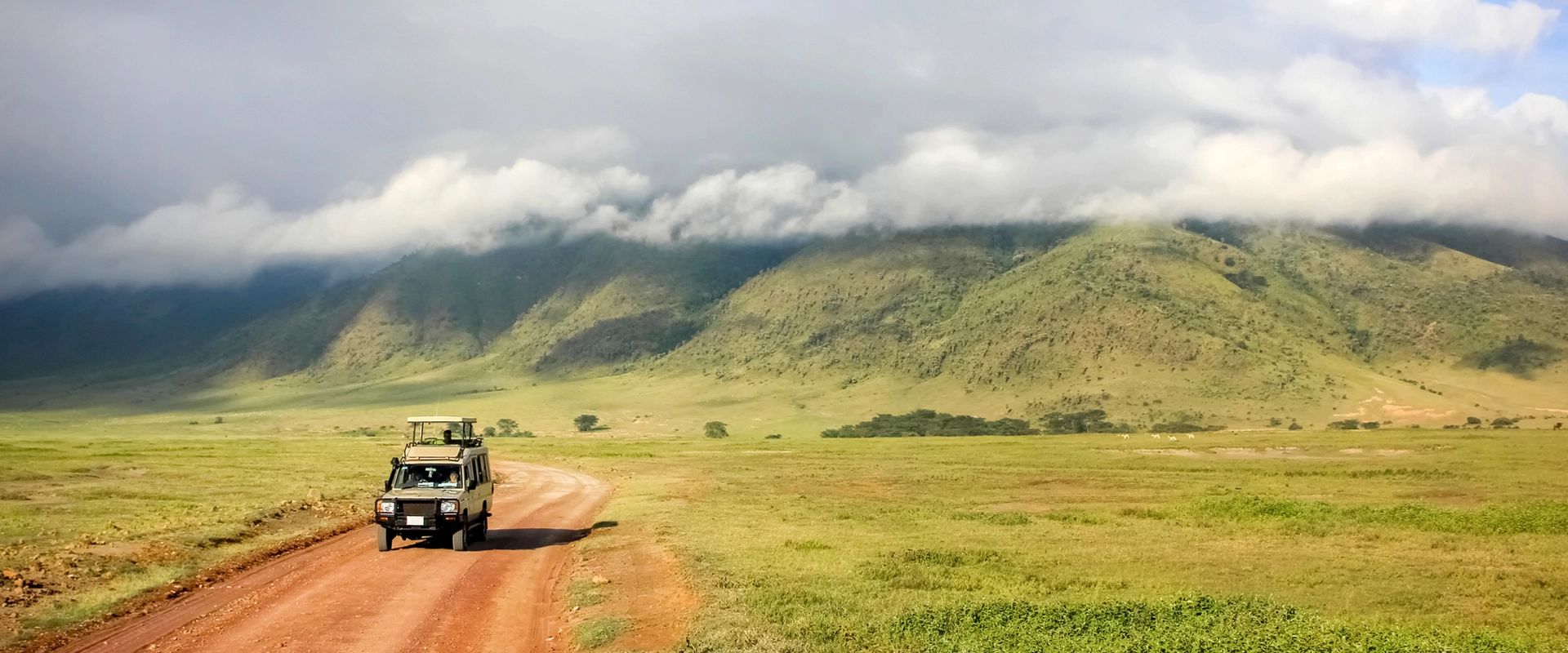 grande migration tanzanie parc national cratere ngorongoro