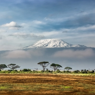 guide francophone Kenya Amboseli