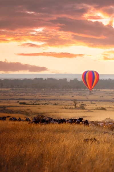 safari out of africa masai mara montgolfiere