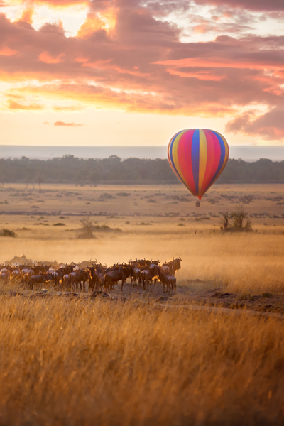 Voyage Flying Kenya Masai Mara