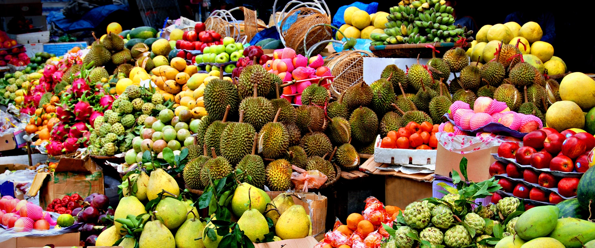 voyage gastronomique vietnam marche fruits