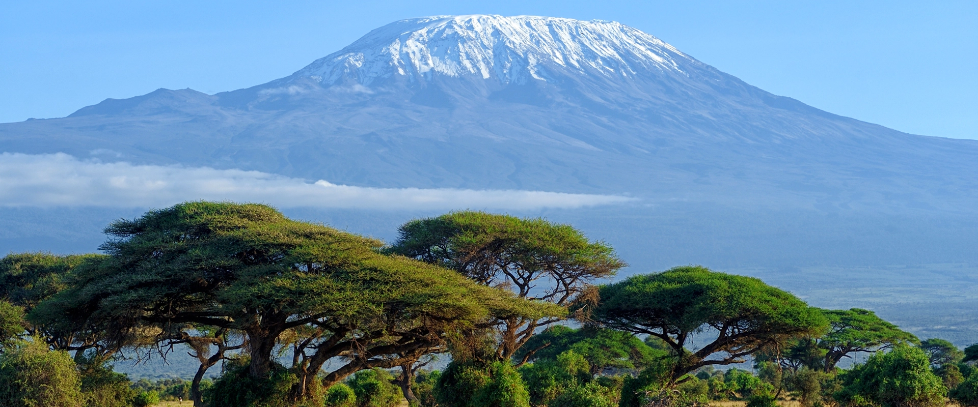 voyage organise tanzanie mont kilimandjaro