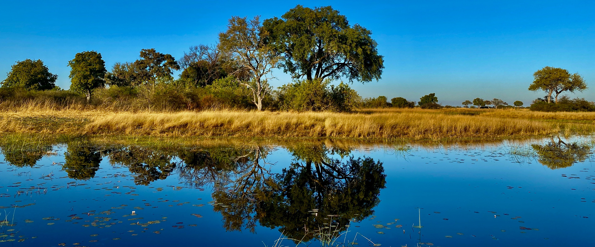 Botswana lodge okavango delta