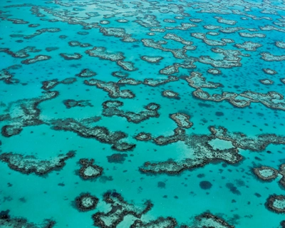 pourquoi partir grande barriere de corail