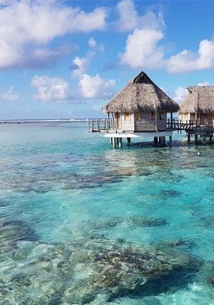 pourquoi partir polynesie tikehau pearl beach resort