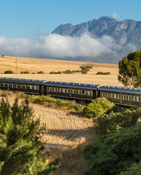 Pourquoi voyager namibie Train Mythique Rovos