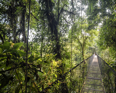 pourquoi voyage costa rica monteverde