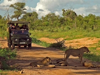 safari afrique du sud mjejane