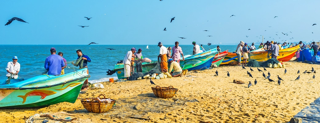voyage culturel et chez l'habitant sri lanka pêche
