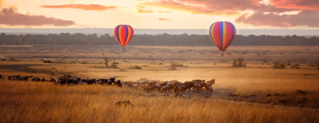 masai mara kenya montgolfiere