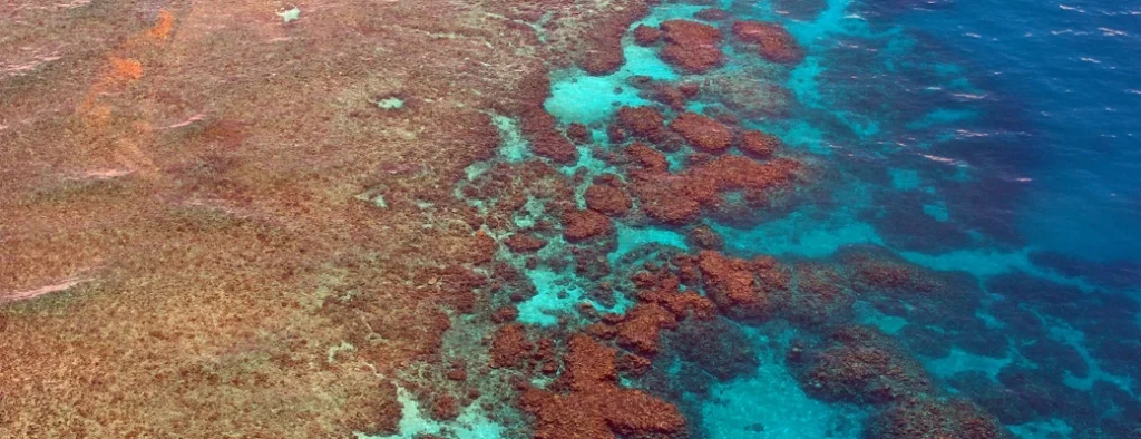 visiter cairns australie barriere de corail