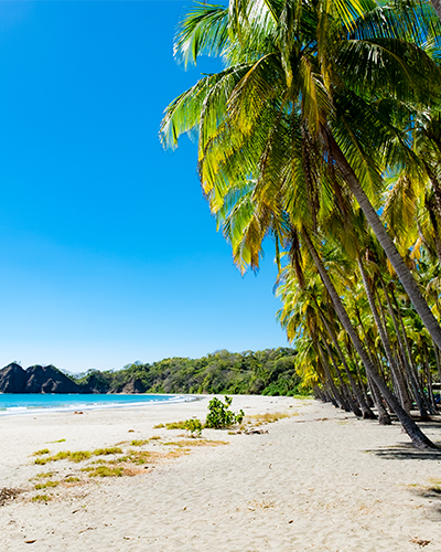 10 incontournables Costa Rica plage et palmiers