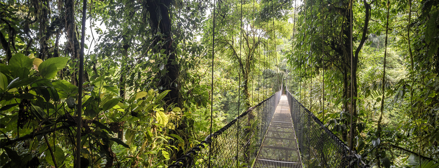 10 incontournables costa rica monteverde