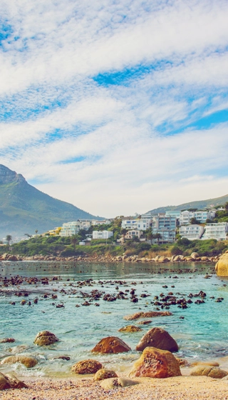 Où partir Afrique du Sud Cape Town