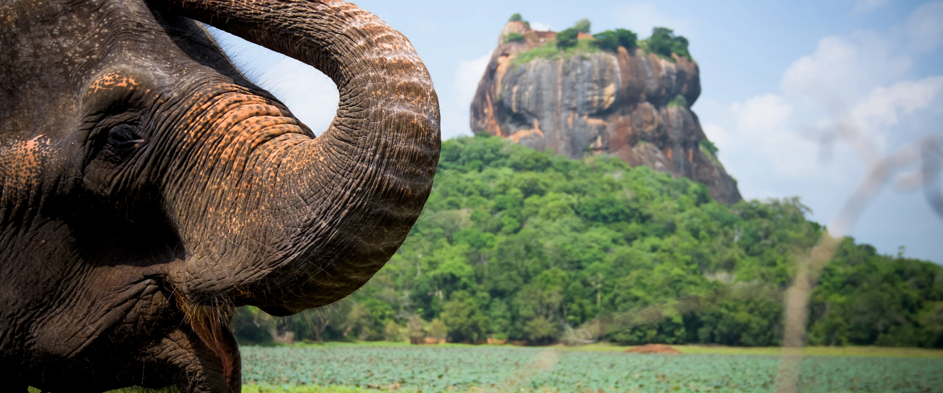 Sri Lanka en moto éléphant et rocher lion sigiriya