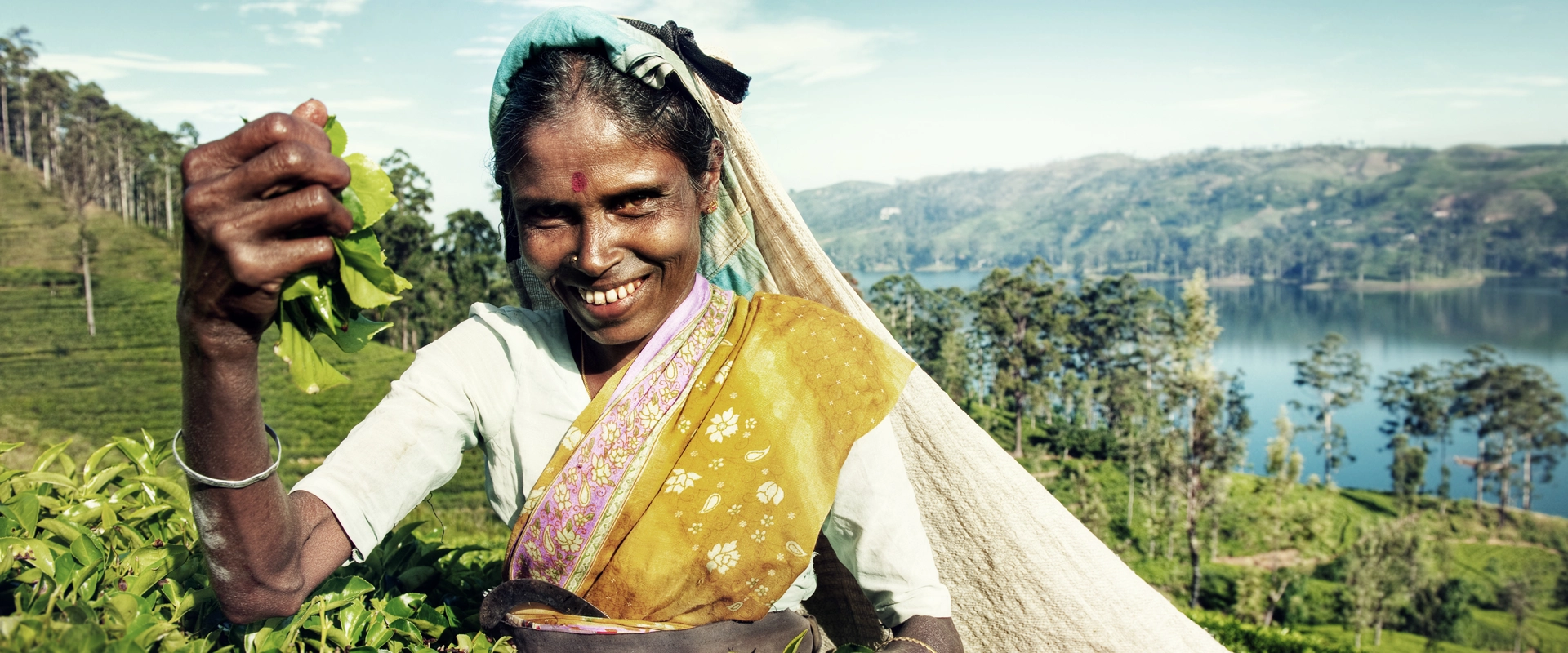 Sri Lanka en moto plantation thé