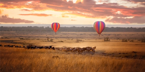 Combiné Kenya Seychelles montgolfières Masaï Mara 