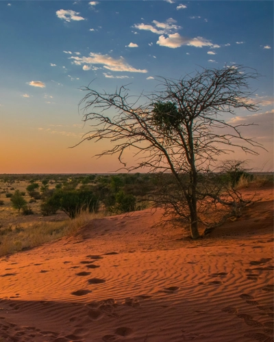 Quand partir au Botswana desert kalahari