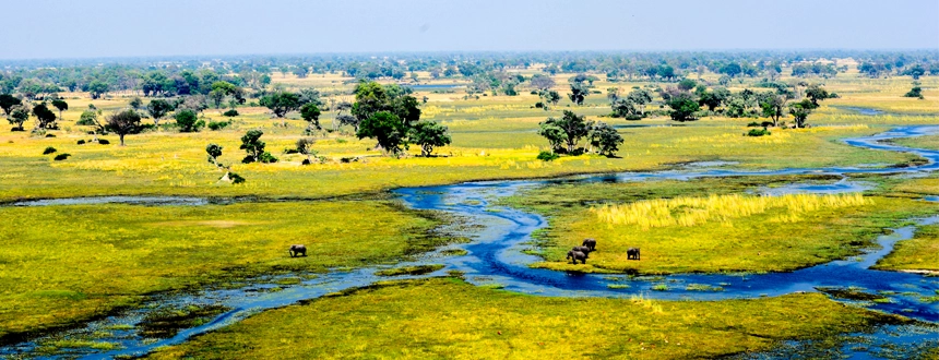 Quand partir au Botswana Okavango