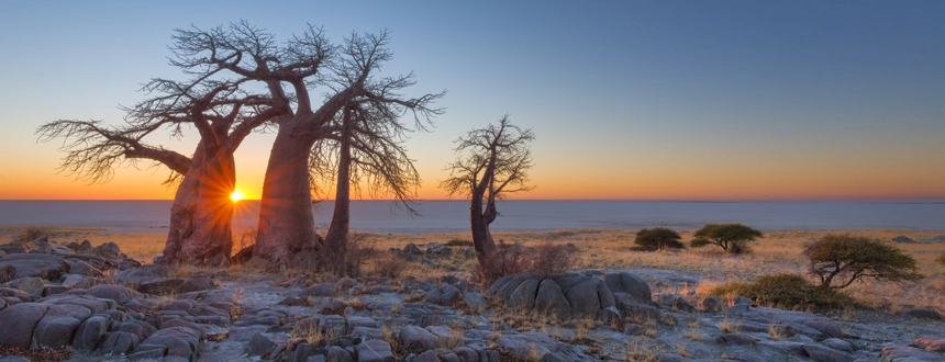 Top 5 déserts dans le monde Kalahari