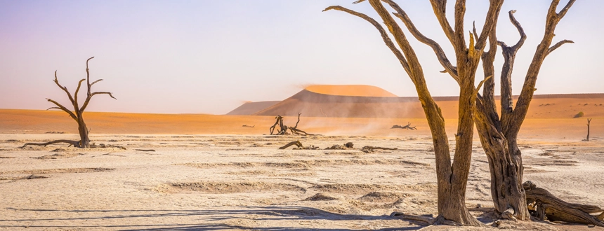 Top 5 déserts dans le monde Namib
