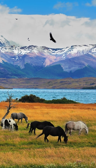 Trois plus beaux parcs nationaux Argentine