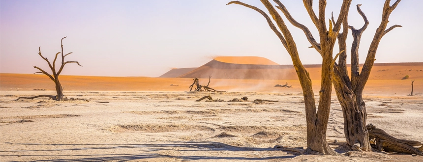 Plus beaux sites Namibie dunes rouges désert
