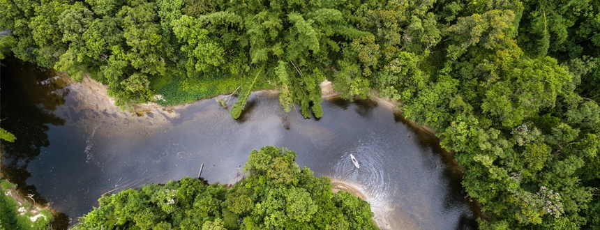 Top 5 des choses à faire forêt amazonienne