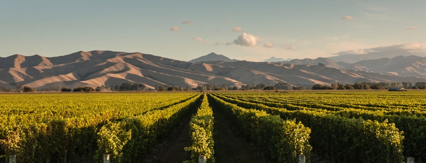 Plus belles des routes vins au monde Marlborough