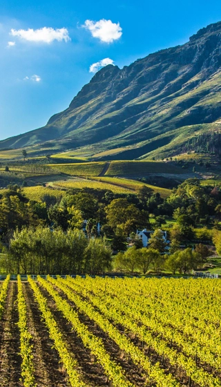 Plus belles des routes vins au monde Stellenbosch mea